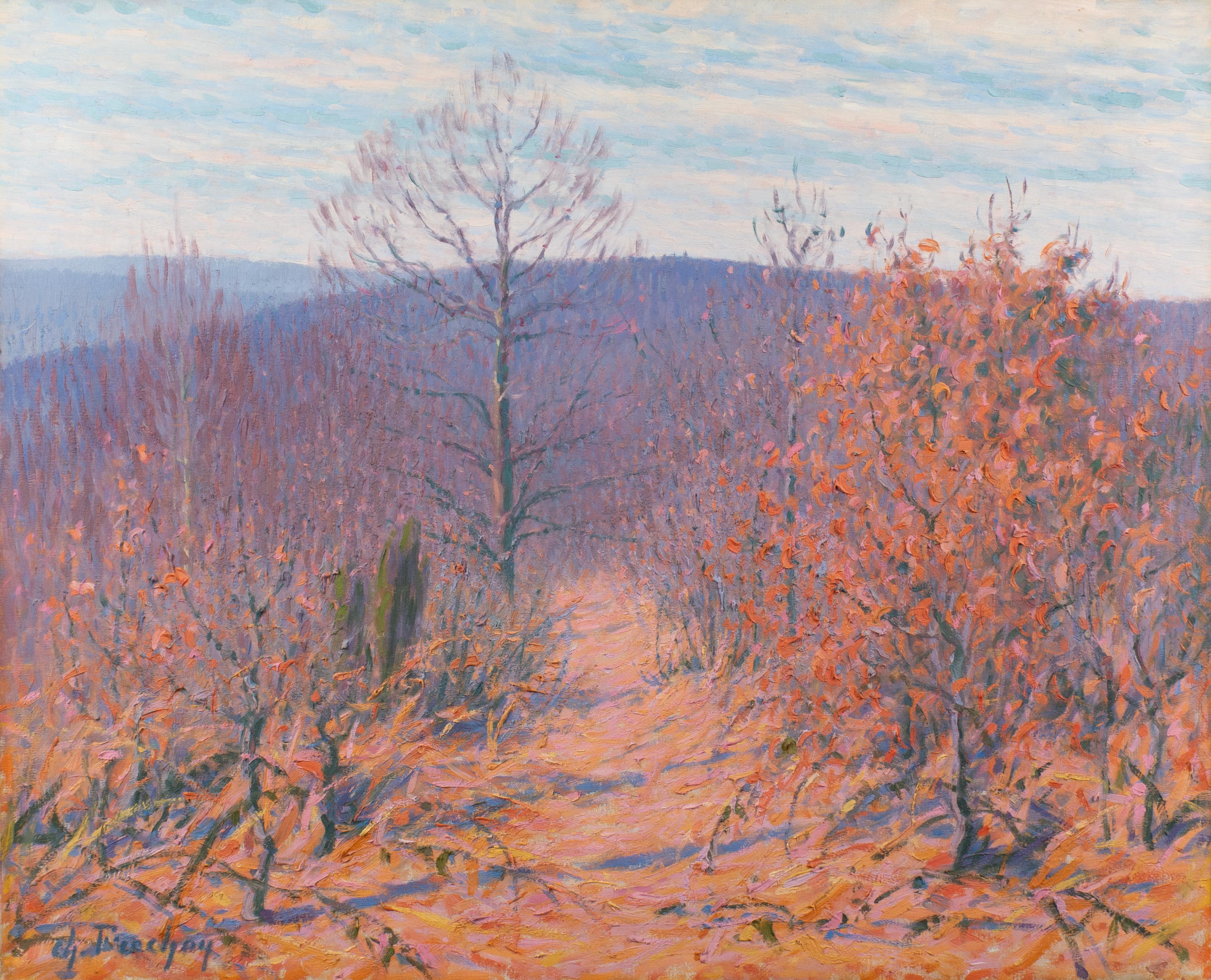 Automne en forêt de Quèvreville