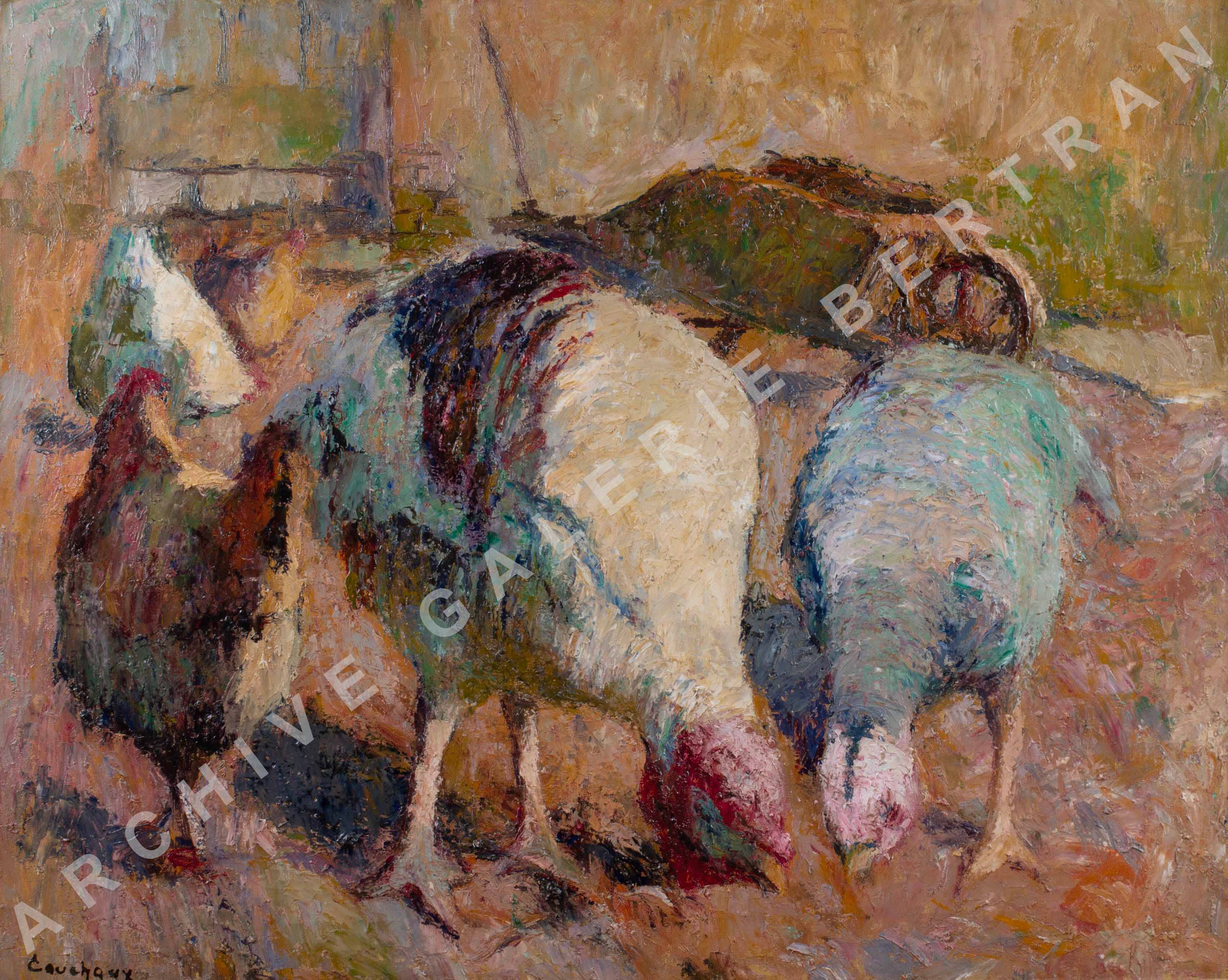 Dindons et poules